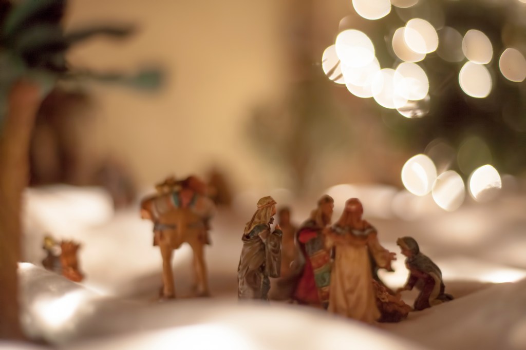 8296444516_ba894501ba_o